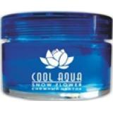АРОМАТИЗАТОР НА ПАНЕЛЬ (ЛЕДЯНАЯ СКАЛА) (60 МЛ) COOL AQUA (ГЕЛЕВЫЙ)