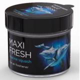 АРОМАТИЗАТОР НА ПАНЕЛЬ (MARINE SQUASH/МОРСКОЙ СКВОШ) MAXIFRESH (ГЕЛЕВЫЙ)