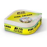 АРОМАТИЗАТОР ПОД СИДЕНЬЕ (PINA COLADA/ПИНА КОЛАДА) (30 Г) AVS FRESH BOX (LGC-040