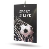 АРОМАТИЗАТОР ПОДВЕСНОЙ (CITRUS/ЦИТРУС) (10 Г) AVS SPORT IS LIFE (APC-030, КАРТОН